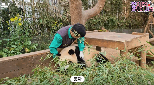 VPXqAy.gif