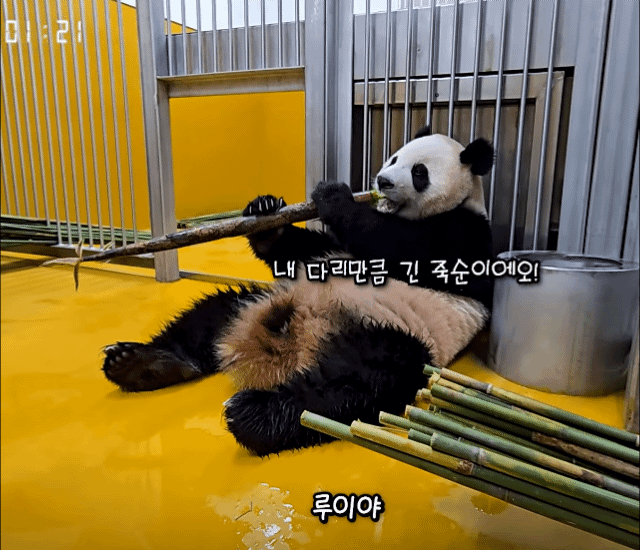 VVxIoz.gif