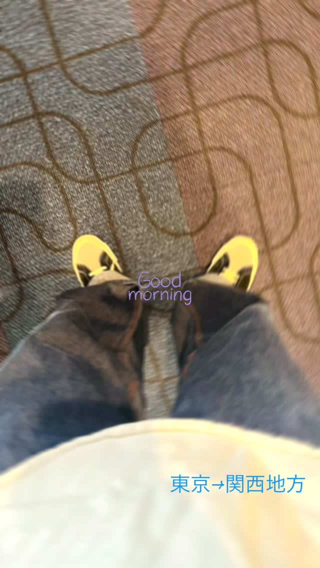 VYBvbL