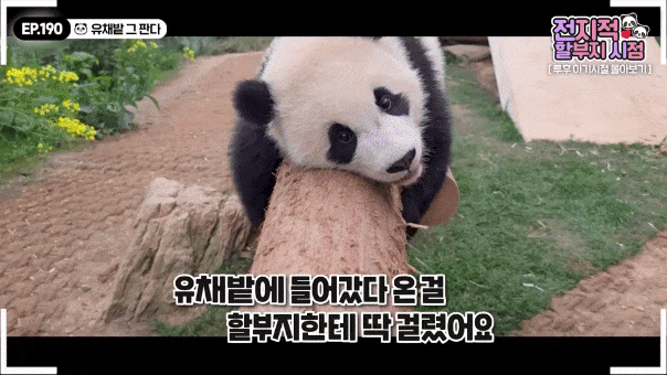 VYJiMo.gif