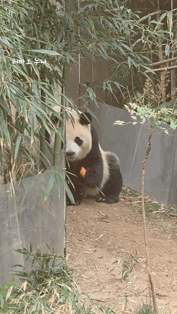 VaGoYW.gif
