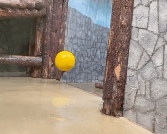 VhMpua.gif