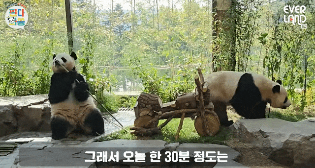Vokcqj.gif