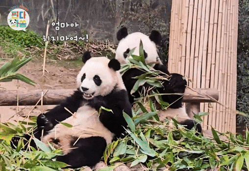 VqElDU.gif