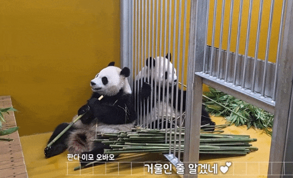 VuUIEE.gif