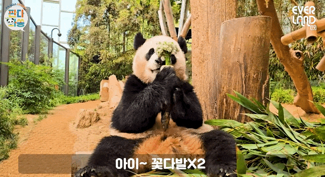 VwXFXw.gif
