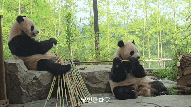 VyQfKW.gif