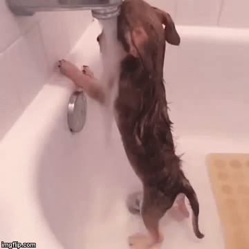 WAQbRW.gif