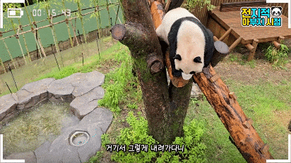 WHBIqP.gif