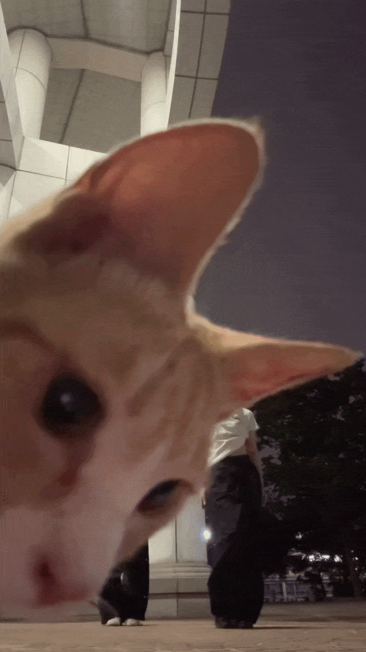 WHlabQ.gif