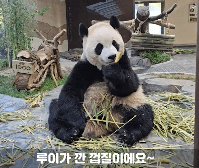 WMozpL.gif