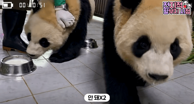 WXhzip.gif