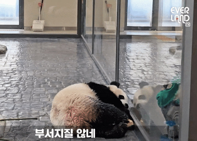 WdoQBj.gif