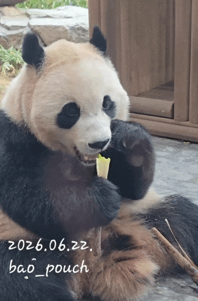 WlAWBJ.gif