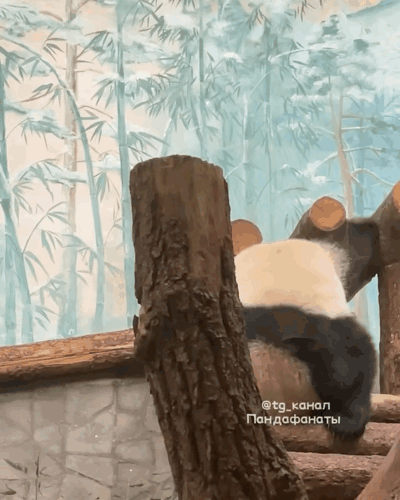 WlrakM.gif