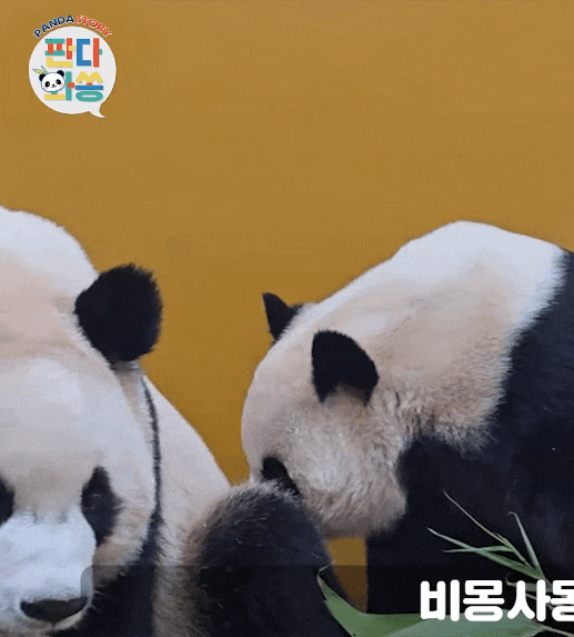 WpOsxJ.gif