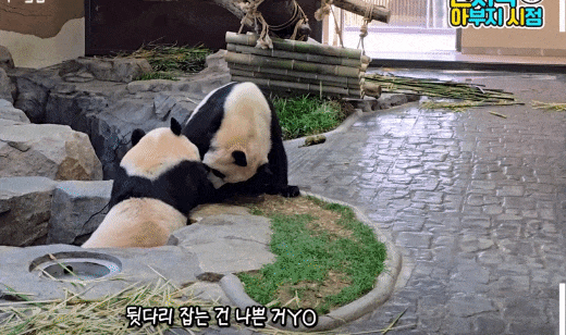 XEnpKh.gif