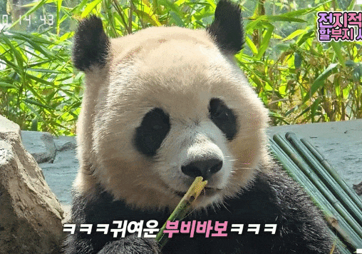 XHLPRZ.gif