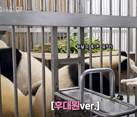 XLzfgd.gif