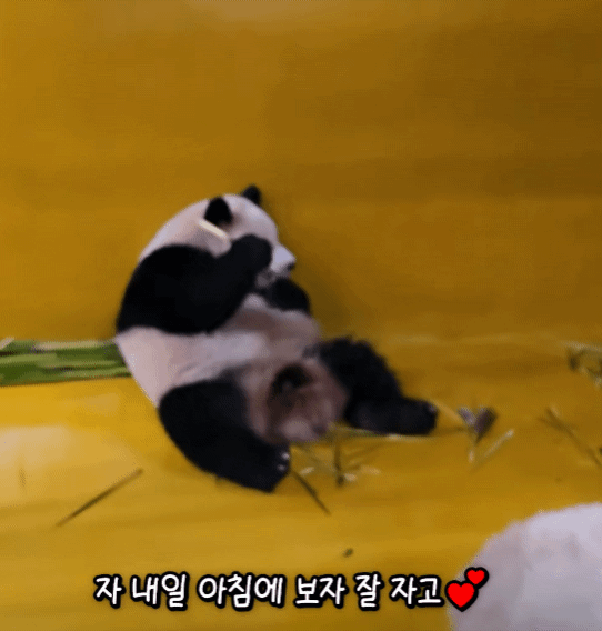XNKHxd.gif