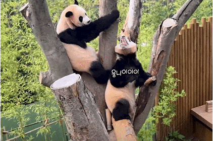 XOrPvR.gif