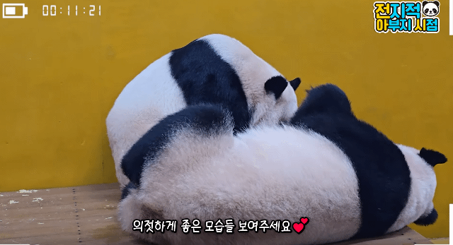 XjtNBt.gif