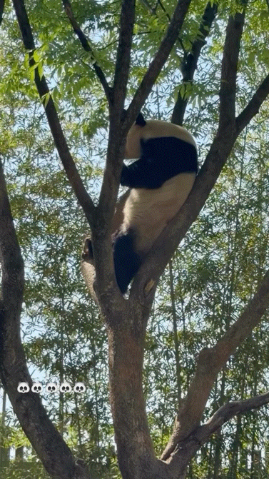 XlRDMu.gif