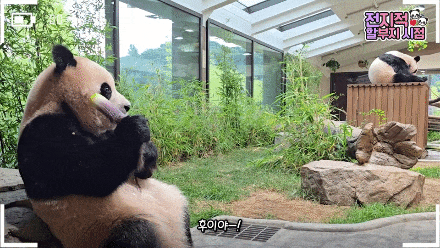 XxyeDR.gif