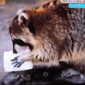 YHuafB.gif