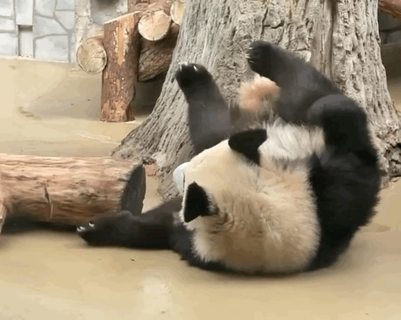 YKtaKx.gif