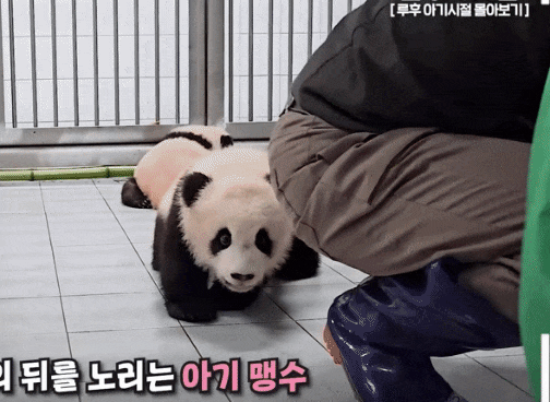YQNQUw.gif