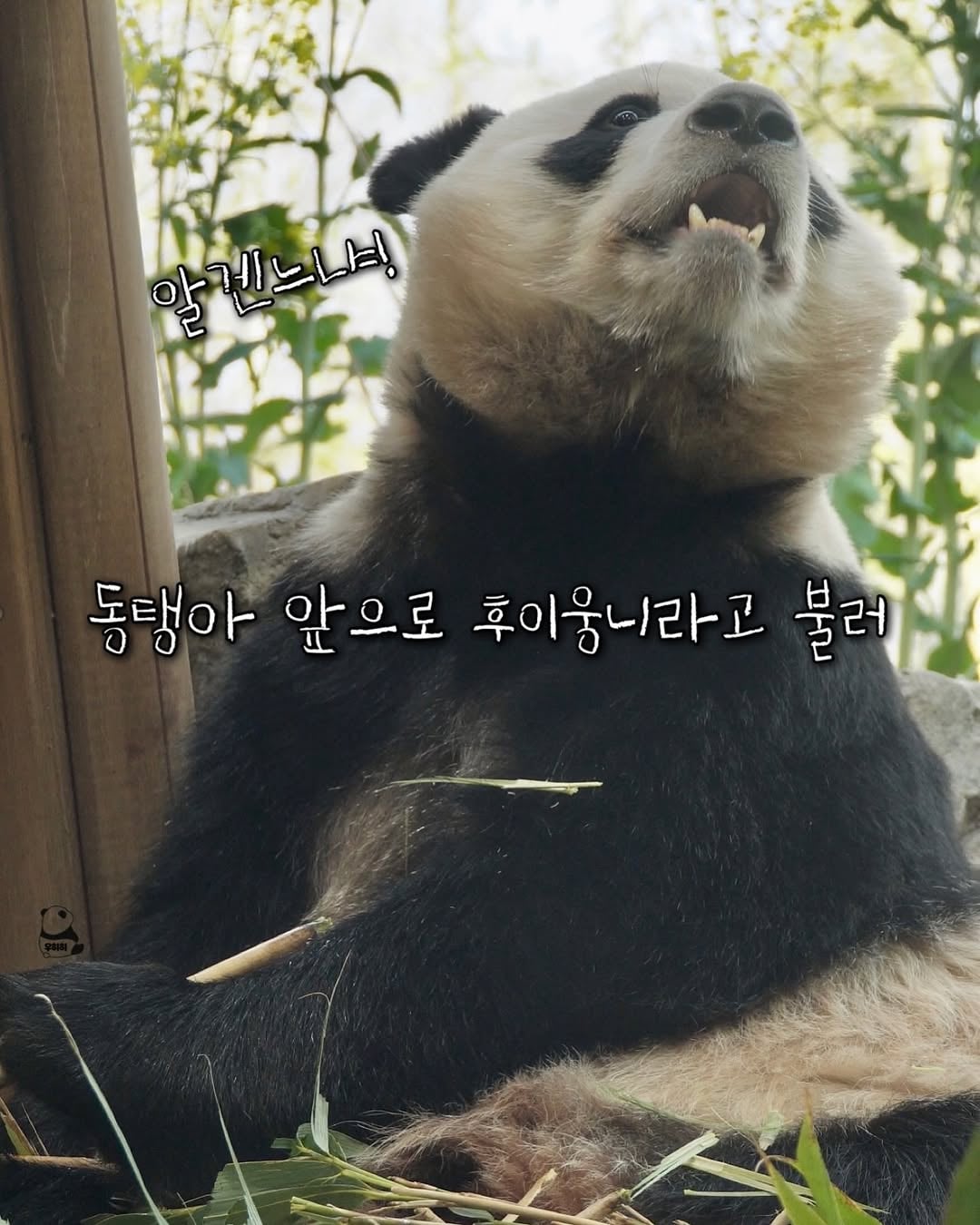 YUlHtC