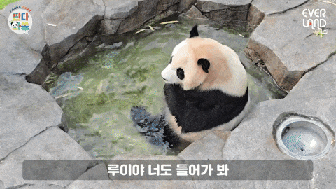 YegIqg.gif
