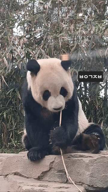 YkPyaR.gif