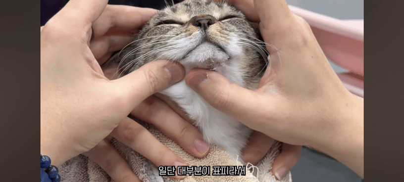 YpdFEP.gif