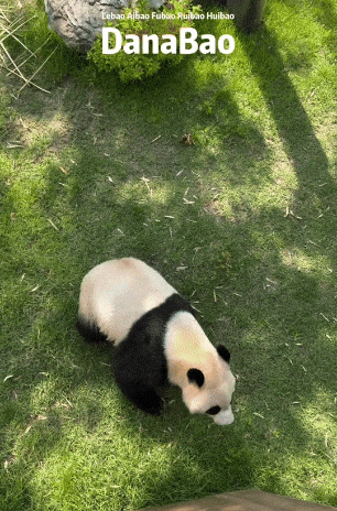 YrnRJP.gif