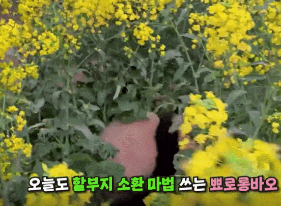 ZLpfIe.gif