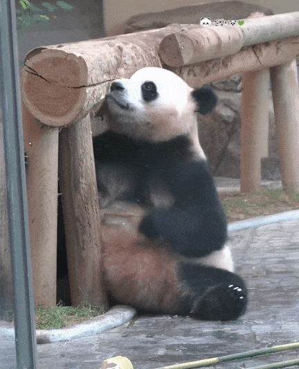 ZNvNCk.gif