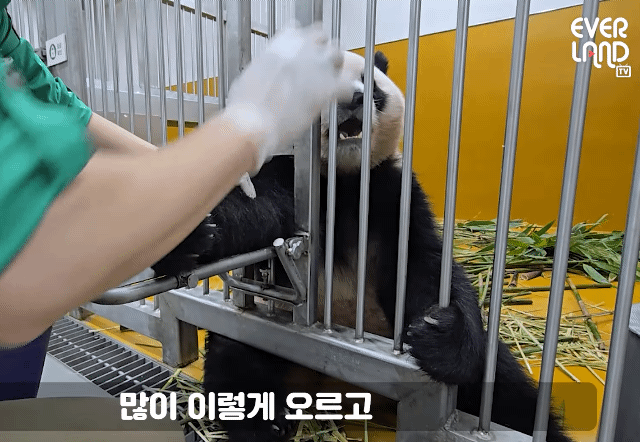 ZPxEkj.gif