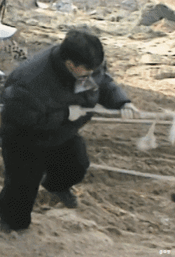 ZSpKji.gif