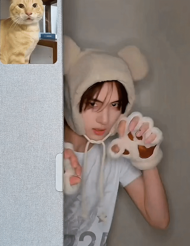 ZdKhFr.gif