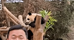 ZtGhrJ.gif