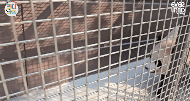 ZuOcDR.gif