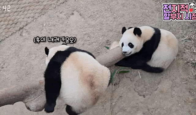 ZzAgOx.gif