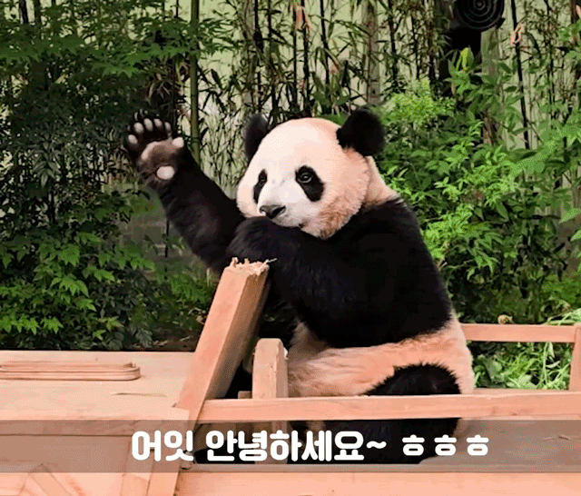 aCsjEv.gif