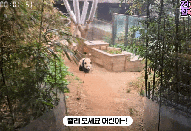 aGebTN.gif