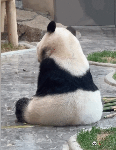 aIRTYH.gif