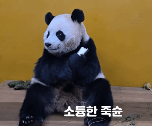 aIZnPO.gif