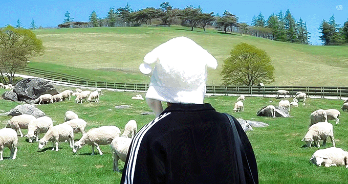 aIzmQq.gif