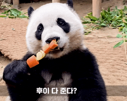 aSpUAq.gif